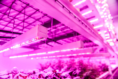 �w����LED&ldquo;���䷽&rdquo;����GSF��(y��u)���r(n��ng)����Įa(ch��n)�����|(zh��)��_1