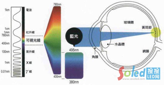 �̲������{������ҕ�W(w��ng)Ĥɫ����Ƥ��ή�s