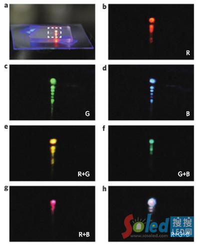 �{�ױ�Ƭ���������������ɫ�ʺϳ�Ч��
