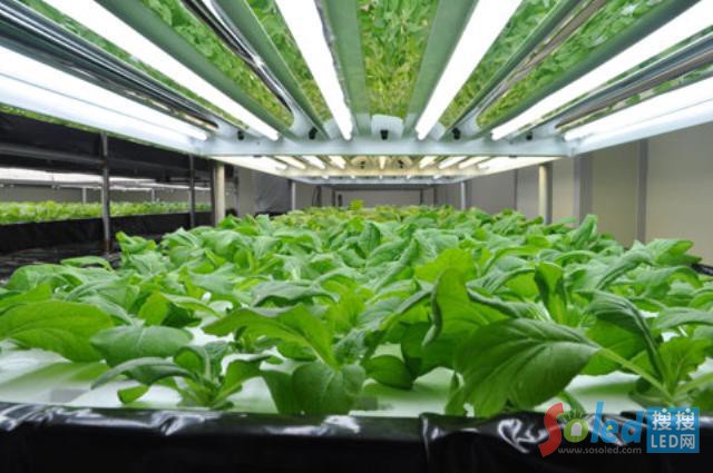 LED�c�C(j��)���˺��������²ˈ@