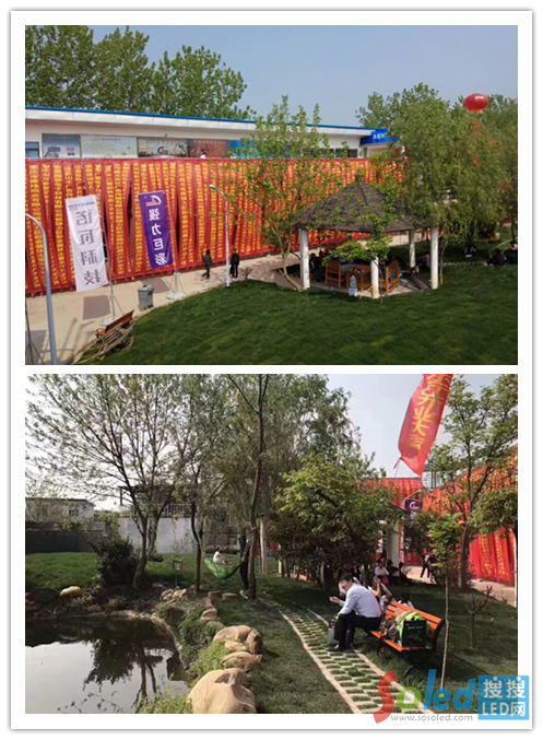 �����޲�